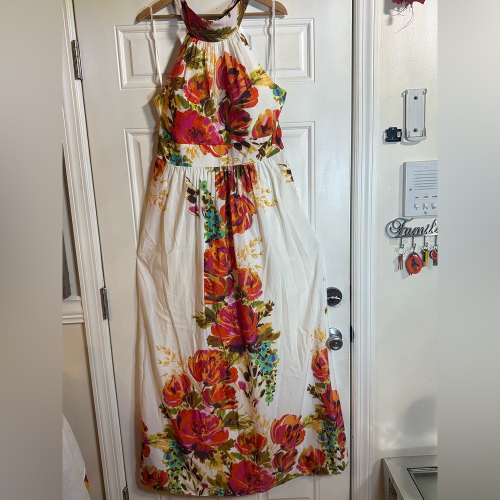 Eliza J White and Red Sleeveless Halter Maxi Dress